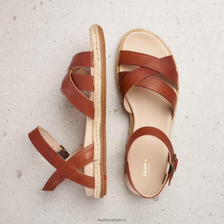 Shoes brown LLOYD SANDALE Women 86B4D1210