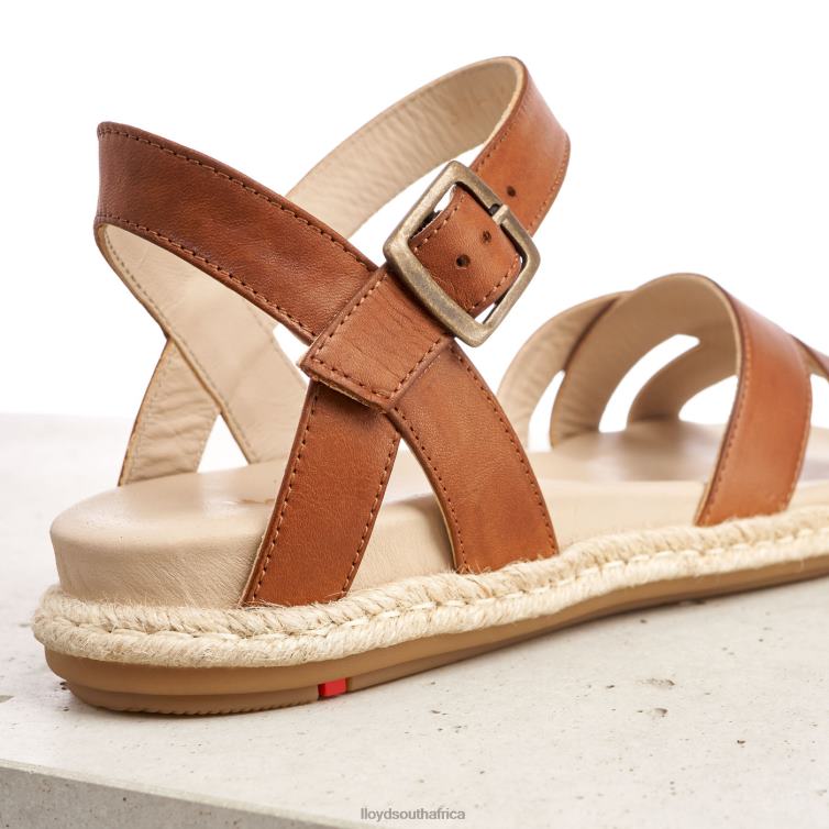 Shoes brown LLOYD SANDALE Women 86B4D1210