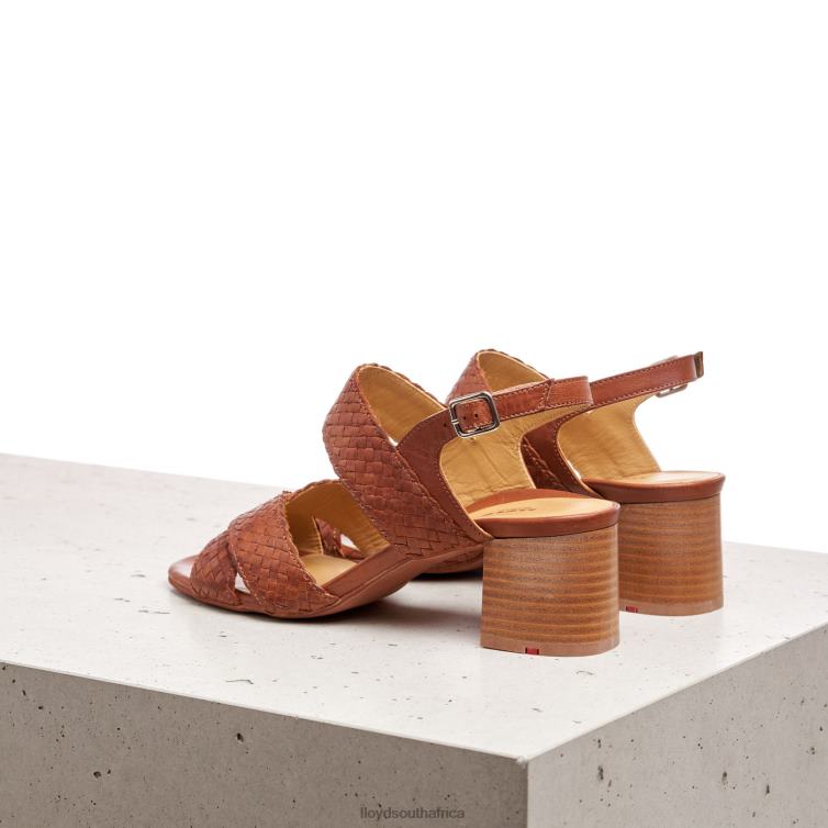Shoes brown LLOYD SANDALE Women 86B4D1216