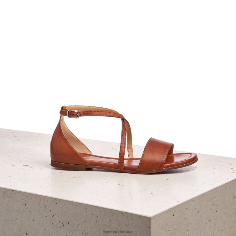 Shoes brown LLOYD SANDALE Women 86B4D1253
