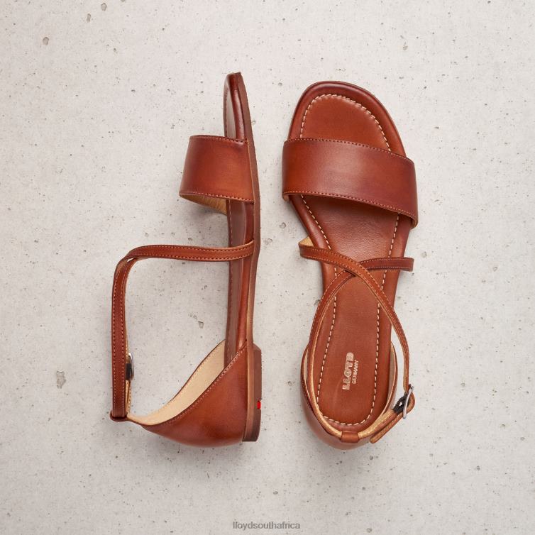 Shoes brown LLOYD SANDALE Women 86B4D1253