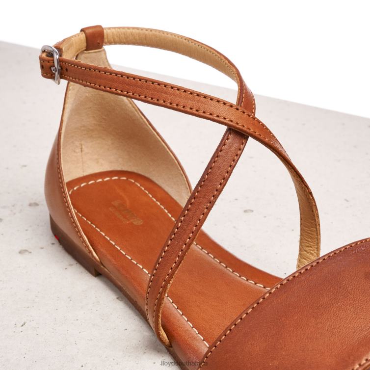 Shoes brown LLOYD SANDALE Women 86B4D1253
