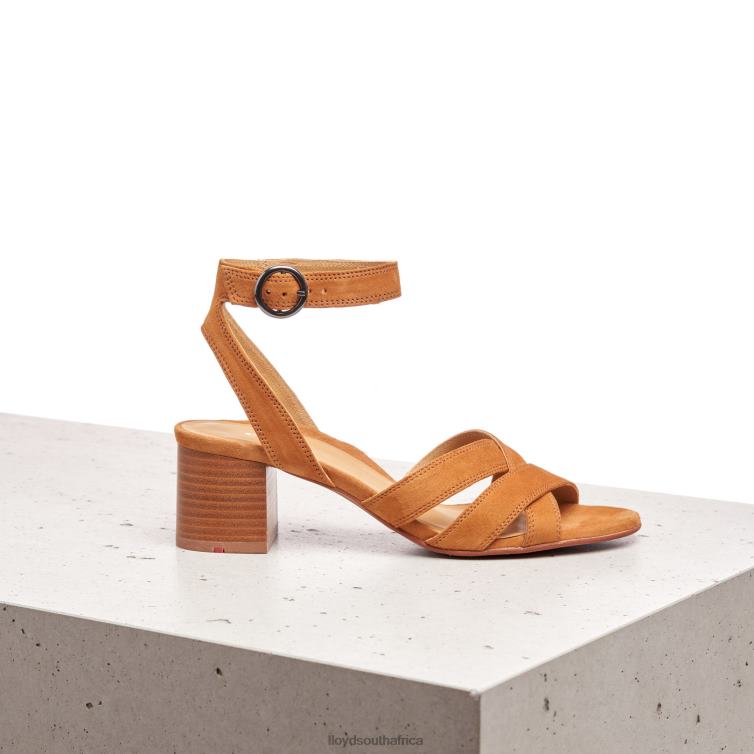Shoes brown LLOYD SUEDE SANDALE Women 86B4D1155