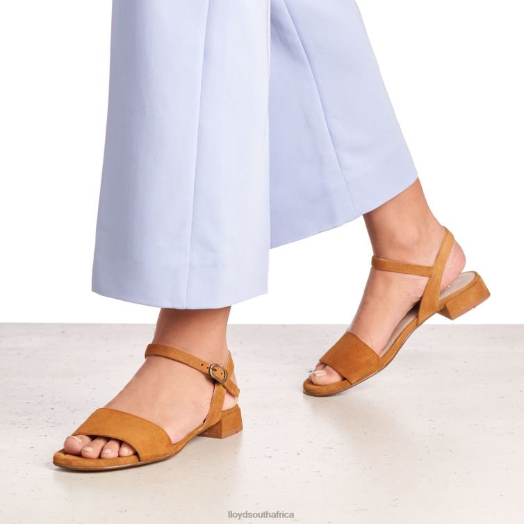 Shoes brown LLOYD SUEDE SURFACE SANDALE Women 86B4D1158