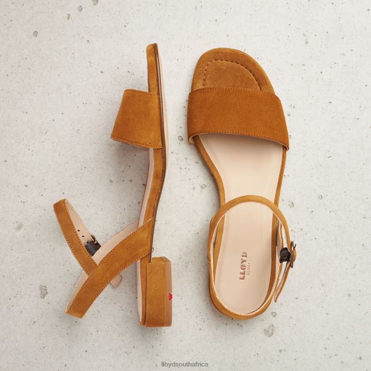 Shoes brown LLOYD SUEDE SURFACE SANDALE Women 86B4D1158