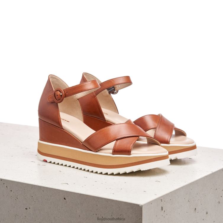 Shoes brown LLOYD WEDGE SANDALE Women 86B4D1204