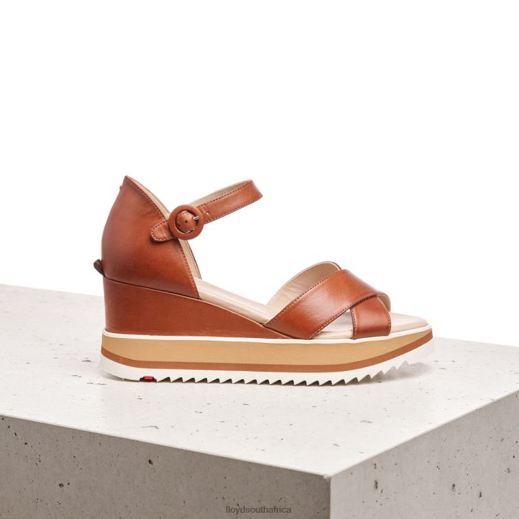 Shoes brown LLOYD WEDGE SANDALE Women 86B4D1204