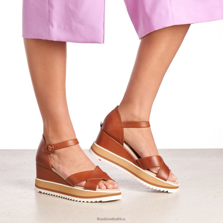 Shoes brown LLOYD WEDGE SANDALE Women 86B4D1204