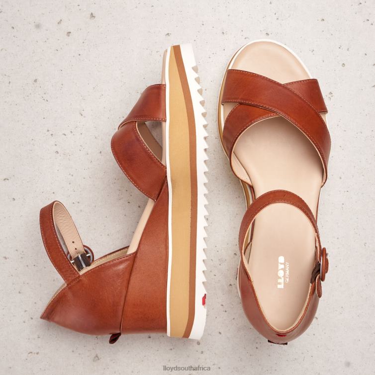 Shoes brown LLOYD WEDGE SANDALE Women 86B4D1204