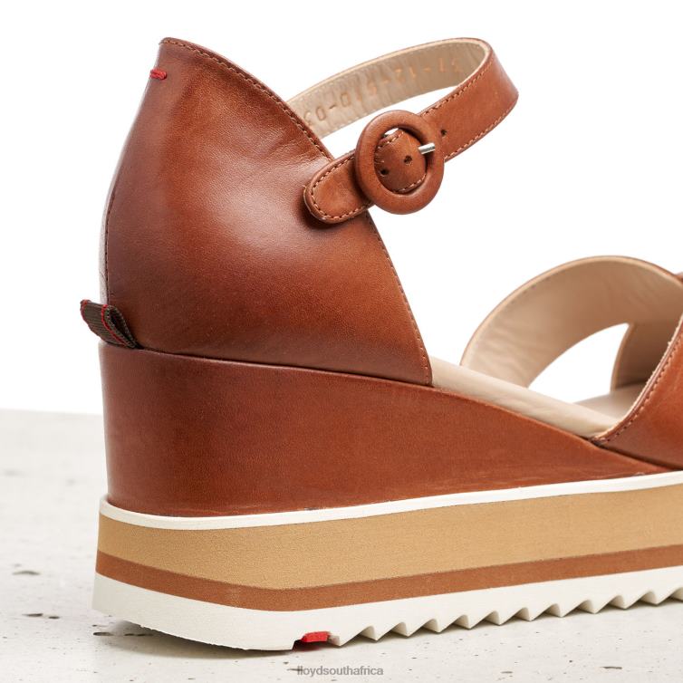 Shoes brown LLOYD WEDGE SANDALE Women 86B4D1204