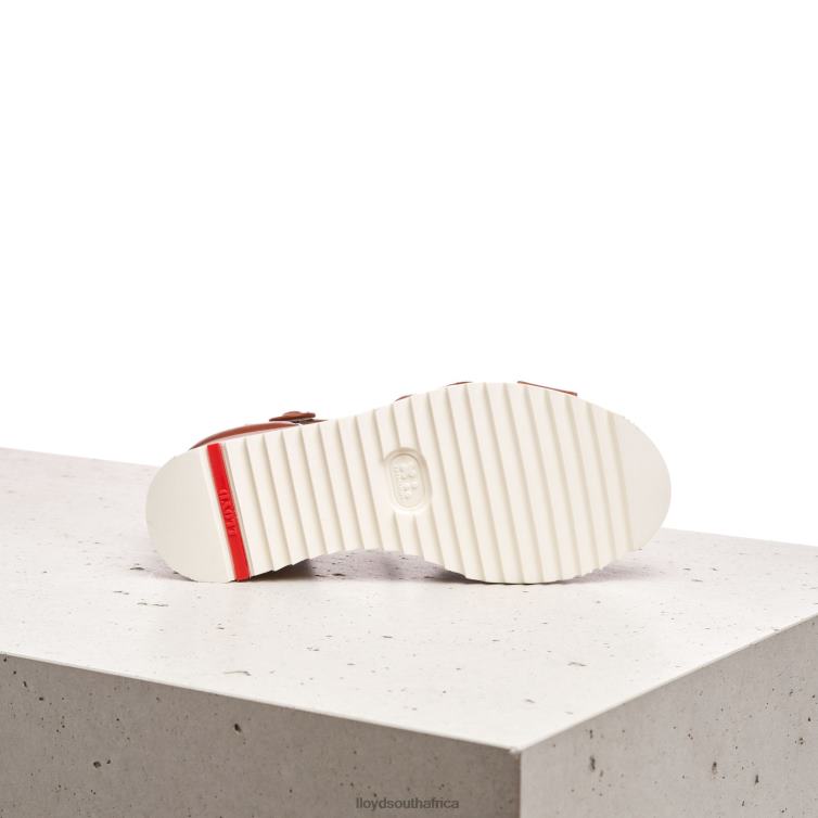 Shoes brown LLOYD WEDGE SANDALE Women 86B4D1204