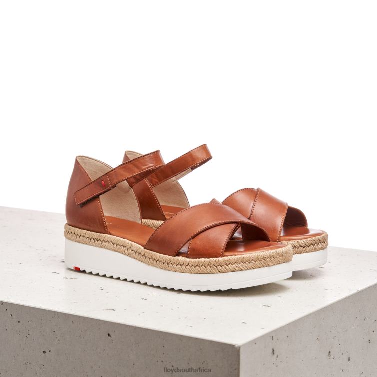 Shoes brown LLOYD WEDGE SANDALE Women 86B4D1237