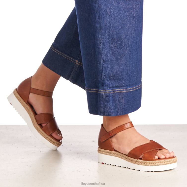 Shoes brown LLOYD WEDGE SANDALE Women 86B4D1237