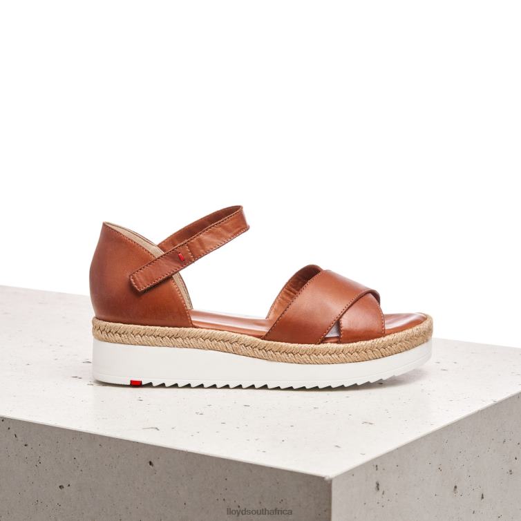Shoes brown LLOYD WEDGE SANDALE Women 86B4D1237