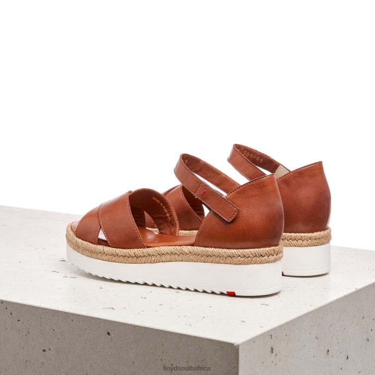 Shoes brown LLOYD WEDGE SANDALE Women 86B4D1237