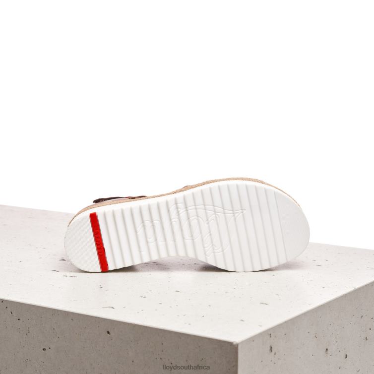 Shoes brown LLOYD WEDGE SANDALE Women 86B4D1237