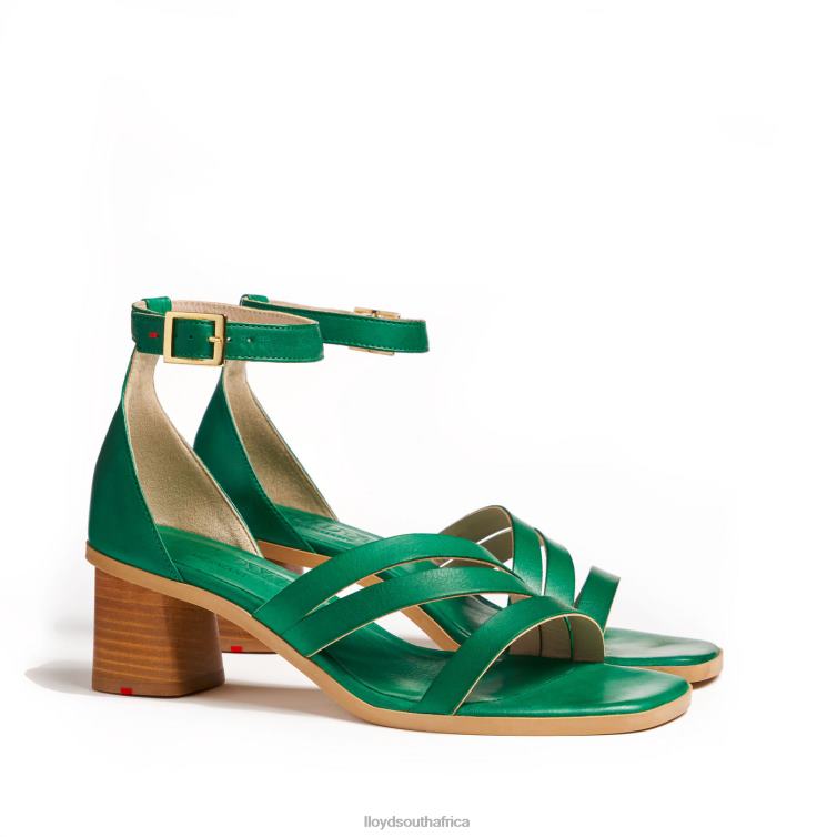 Shoes green LLOYD SANDALS Women 86B4D1203