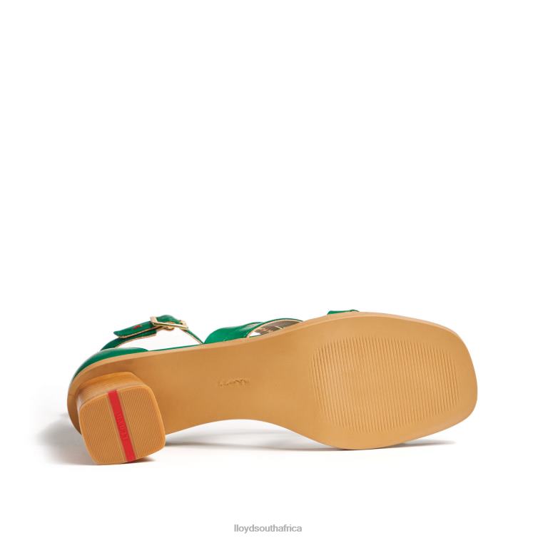 Shoes green LLOYD SANDALS Women 86B4D1203