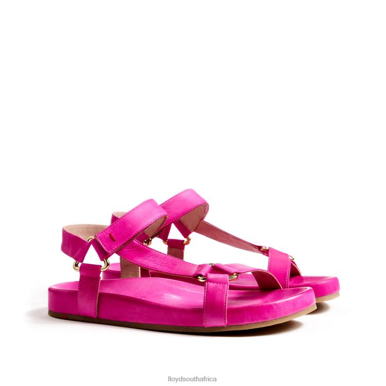 Shoes pink LLOYD BREEZY SANDALS Women 86B4D1241