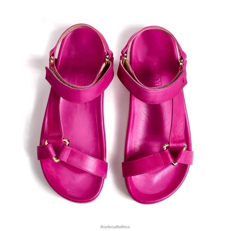 Shoes pink LLOYD BREEZY SANDALS Women 86B4D1241