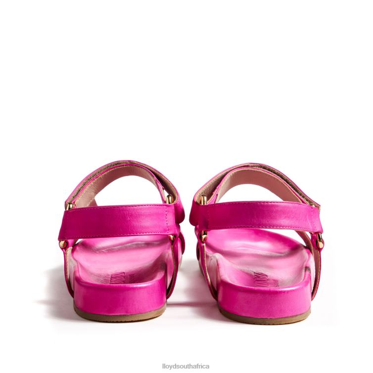 Shoes pink LLOYD BREEZY SANDALS Women 86B4D1241