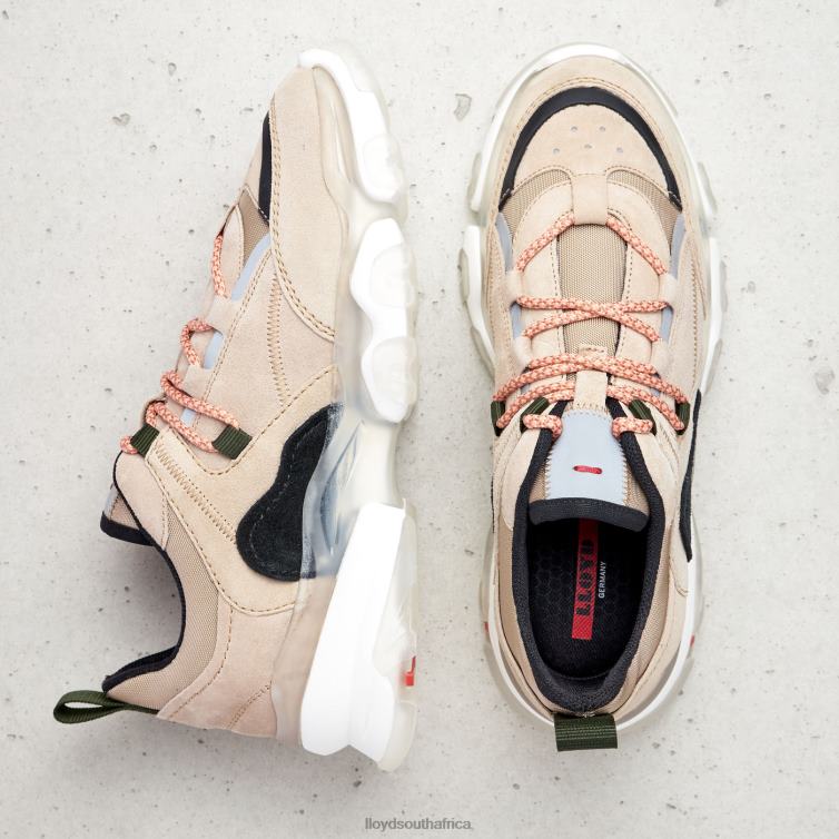 Shoes beige LLOYD LOW TOP SNEAKERS Women 86B4D778