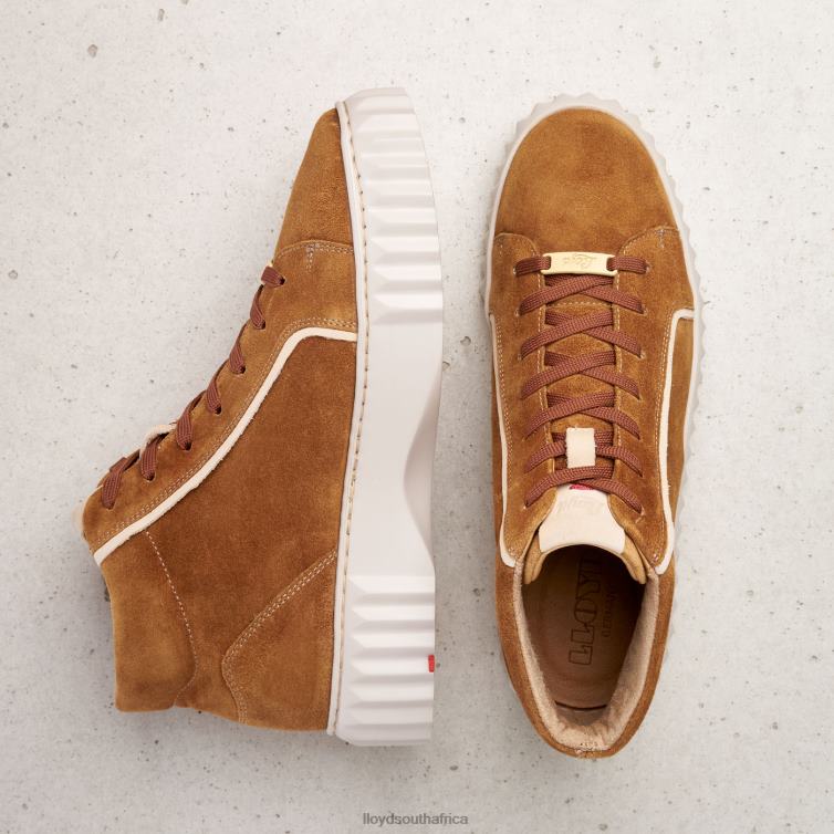 Shoes brown LLOYD HIGH TOP SNEAKERS Women 86B4D771