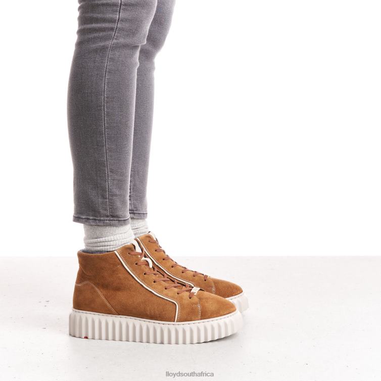 Shoes brown LLOYD HIGH TOP SNEAKERS Women 86B4D777