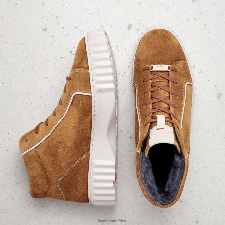 Shoes brown LLOYD HIGH TOP SNEAKERS Women 86B4D777