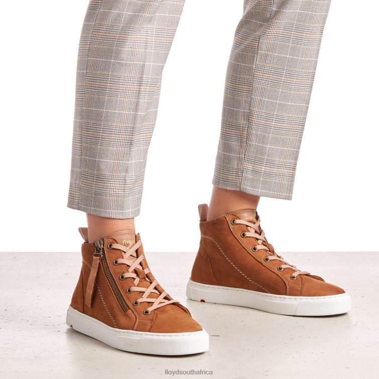 Shoes brown LLOYD HIGH TOP SNEAKERS Women 86B4D859