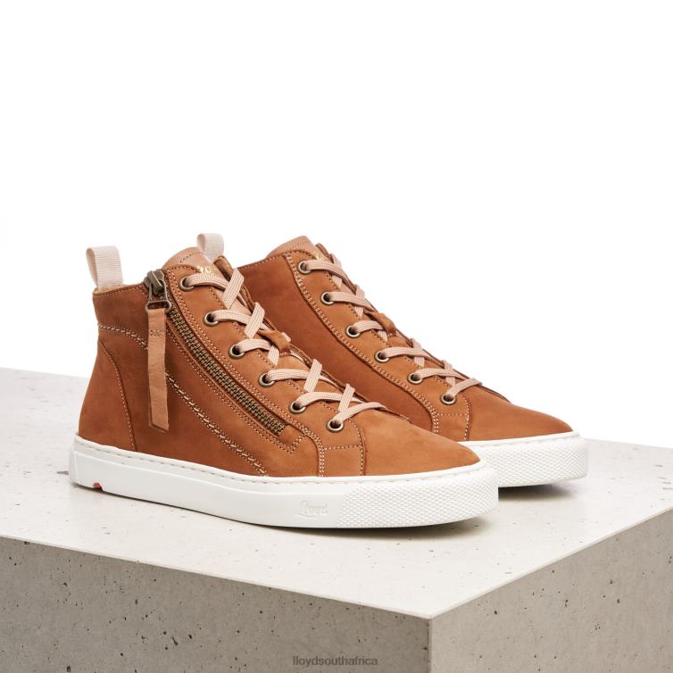 Shoes brown LLOYD HIGH TOP SNEAKERS Women 86B4D859