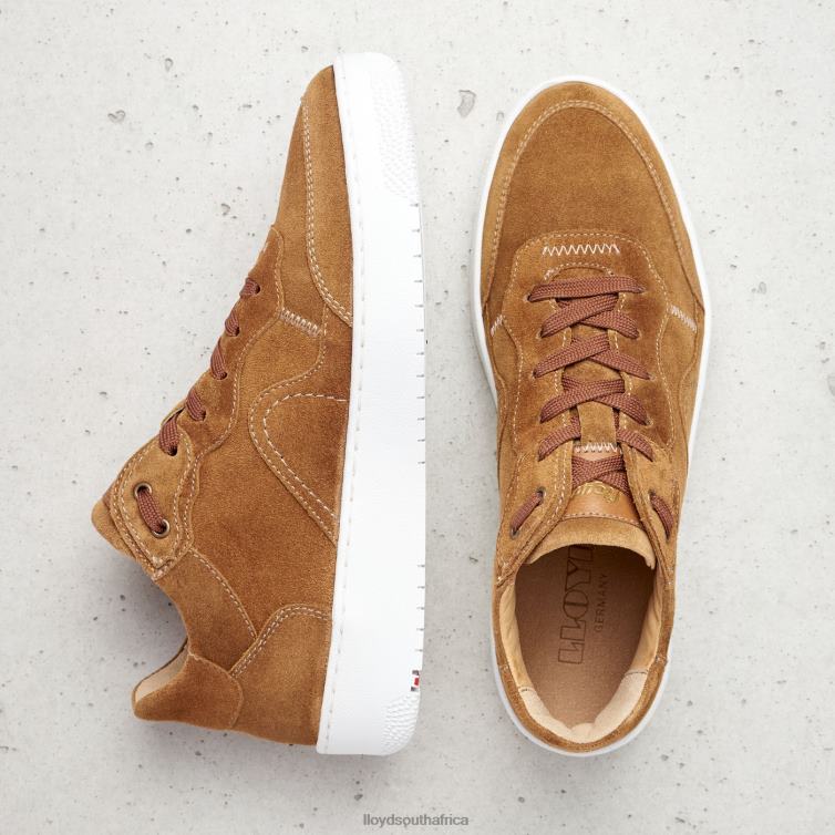 Shoes brown LLOYD LEATHER LOW TOP SNEAKERS Women 86B4D782