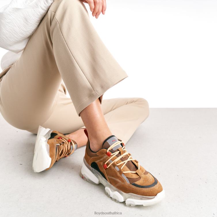 Shoes brown LLOYD LEATHER LOW TOP SNEAKERS Women 86B4D787