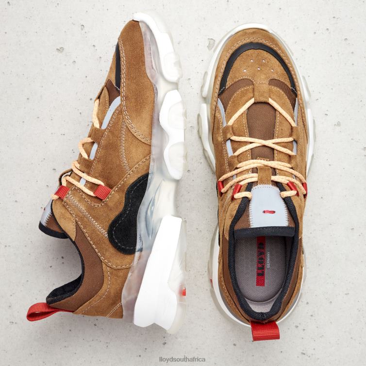 Shoes brown LLOYD LEATHER LOW TOP SNEAKERS Women 86B4D787