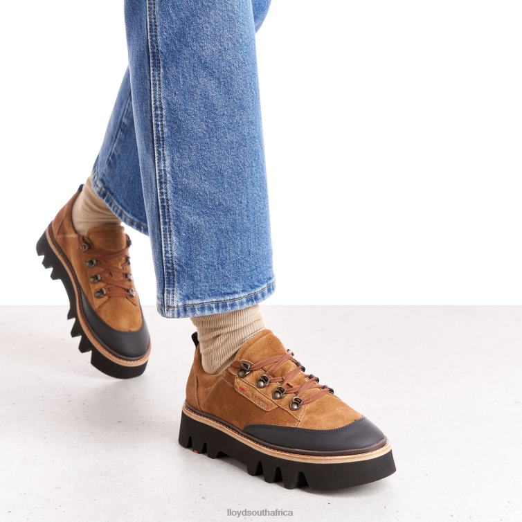 Shoes brown LLOYD SMOOTH LEATHER SNEAKERS Women 86B4D1176