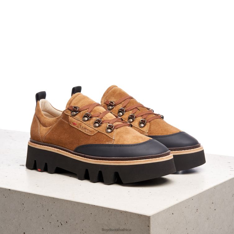 Shoes brown LLOYD SMOOTH LEATHER SNEAKERS Women 86B4D1176