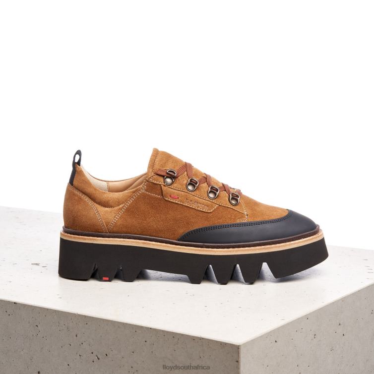 Shoes brown LLOYD SMOOTH LEATHER SNEAKERS Women 86B4D1176