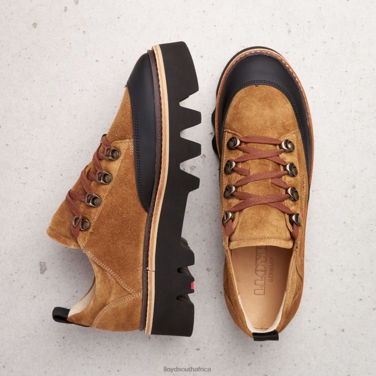 Shoes brown LLOYD SMOOTH LEATHER SNEAKERS Women 86B4D1176