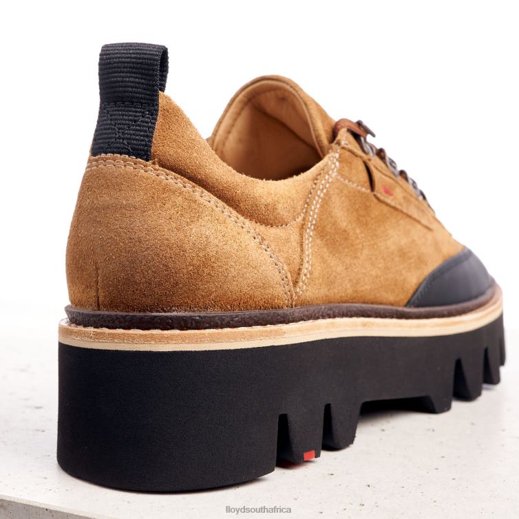 Shoes brown LLOYD SMOOTH LEATHER SNEAKERS Women 86B4D1176