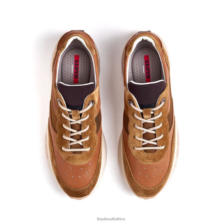 Shoes brown LLOYD VELO 2 Women 86B4D796