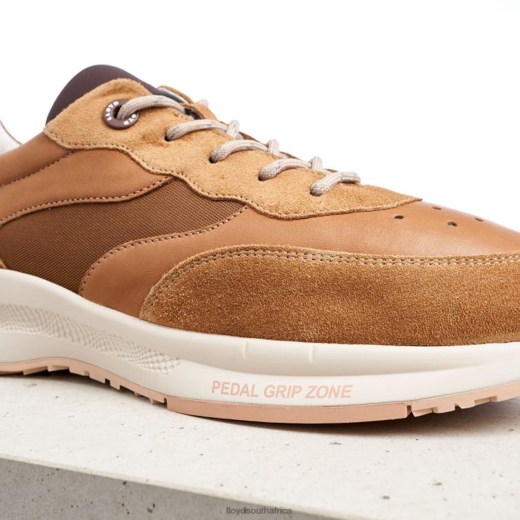 Shoes brown LLOYD VELO 2 Women 86B4D796