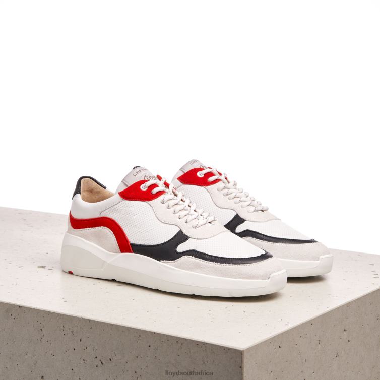 Shoes combined LLOYD LOW TOP SNEAKERS Women 86B4D869