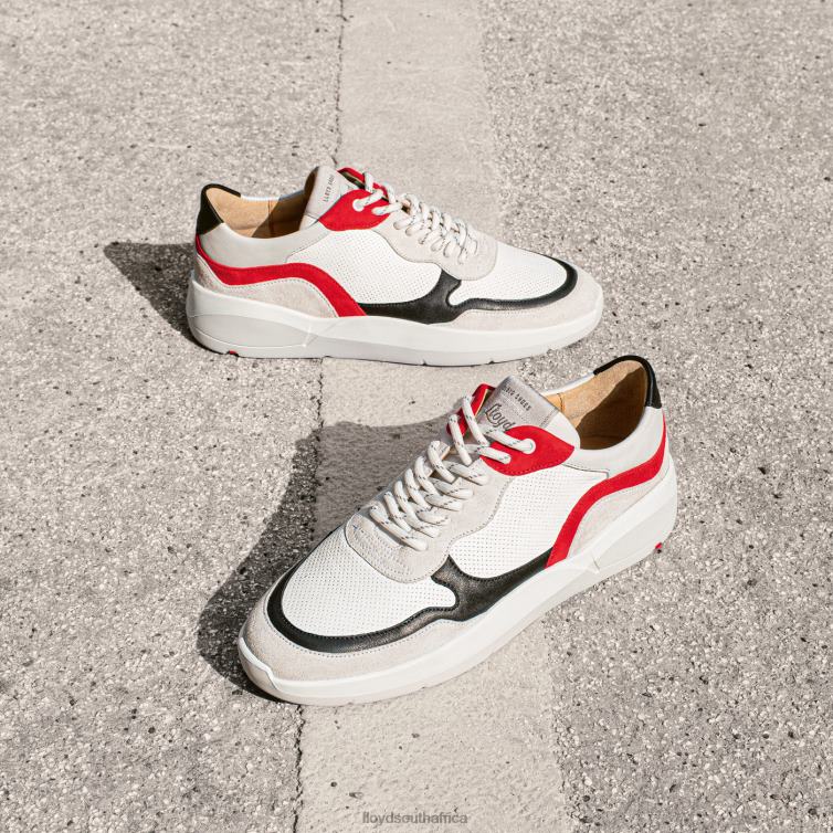 Shoes combined LLOYD LOW TOP SNEAKERS Women 86B4D869