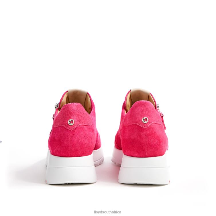 Shoes pink LLOYD SPORTY LOOK SNEAKER Women 86B4D843